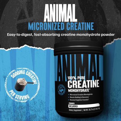 Animal Creatine Monohydrate Powder - Micronized Creatine for Women and Men, Supports Muscle Growth, Strength, Endurance, Recovery and ATP Production, Gym &amp; Workout Supplements - Unflavored, 1kg
