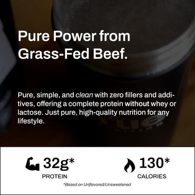 True Nutrition Grass Fed Beef Protein Powder Isolate - 29g of Paleo, Keto, Carnivore Beef Protein per Serving - Zero Carb, Fat Free, Gluten Free, Dairy Free, Soy Free - Chocolate Fudge - 1LB