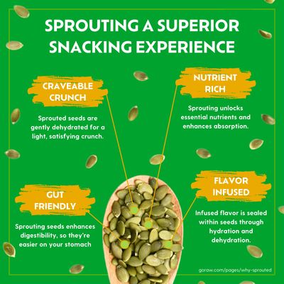 Go Raw Dark Chocolate Snacking Granola, 8oz Pouch