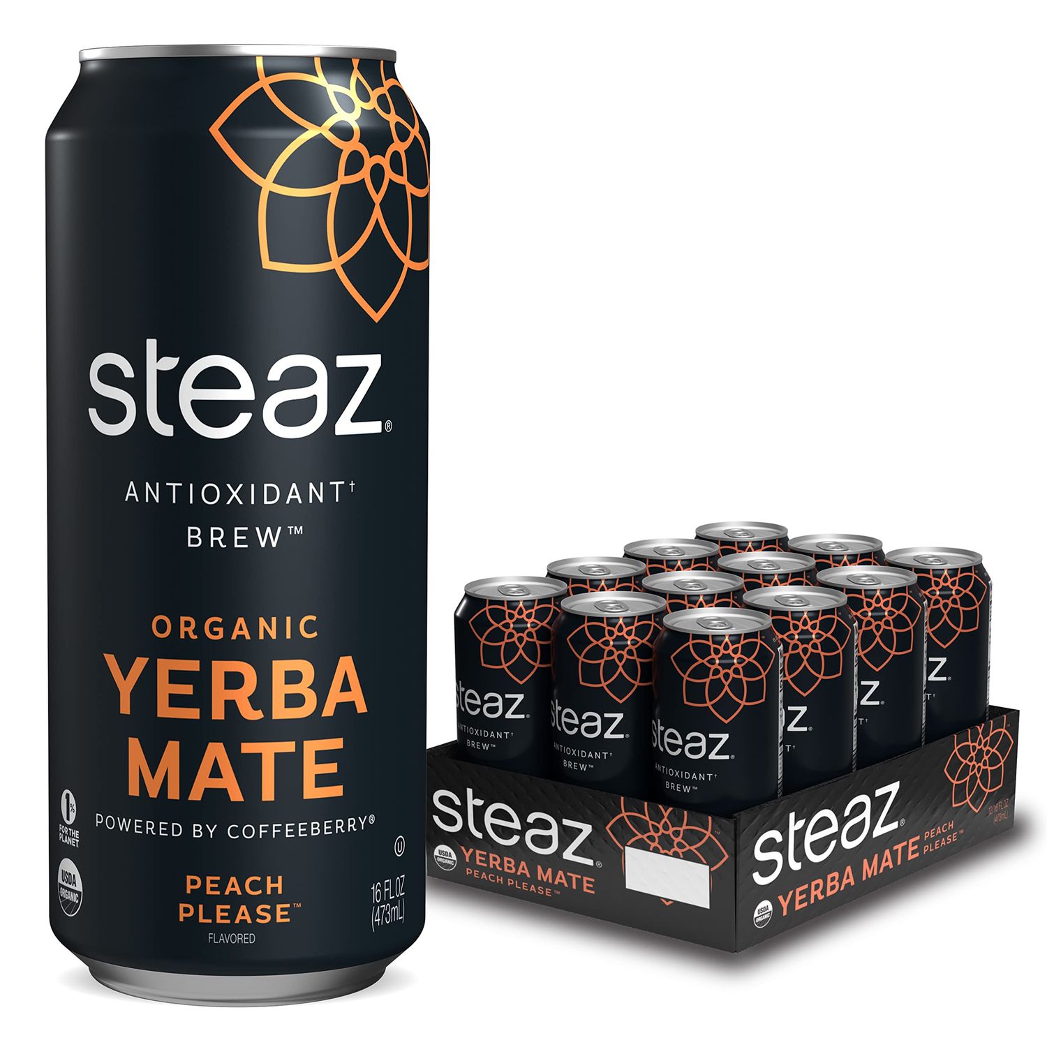Steaz Antioxidant Brew Organic Yerba Mate Tea 16 oz Pack of 12 (Peach Please)