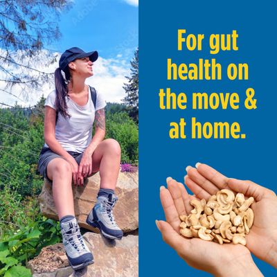 Philosopher Foods Gut Nuts - Fermented Cashews for Gut Health - Tangy, Umami, & Salty Flavors - Super Crunchy Low Carb Keto Snacks - Low Sugar Prebiotic & Postbiotic Cashew Snacks - 3oz Pouch (6 Pack)
