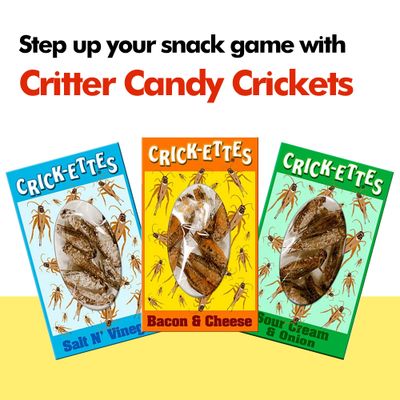 HotLix Crick-ettes Edible Crickets (6-Pack)  Dried Crickets to Eat, Edible Insects for Humans, Flavored Crickets, Dried Edible Bugs to Eat, Cricket Snacks for Humans, Weird Snacks, Exotic Snacks