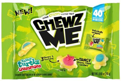 ChewzMe Tangy Turtlz Gummies, Individually Wrapped Turtle Shaped Jelly-Filled Gummy and Chewy Candy in Assorted Flavors, 8.46 Ounce (Pack of 1)