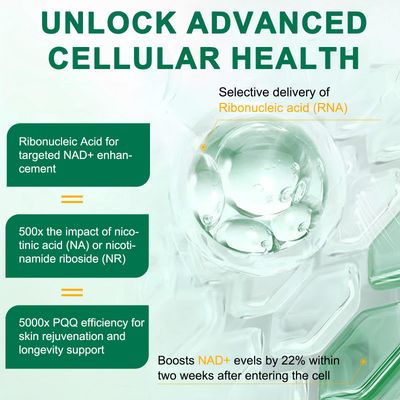 NAD Supplement 120 Capsules, Liposomal Nicotinamide Riboside, Resveratrol, Quercetin, NAD Nicotinamide Riboside Resveratrol 910mg for Women Men, NAD Supplement for Anti Aging and Cell Regeneration