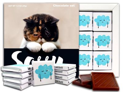 DA CHOCOLATE Candy Souvenir SORRY Chocolate Gift Set 5x5in 1 box Cat Prime 0661