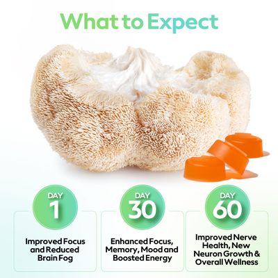 Troop Mushroom Lions Mane Gummies, Supplement for Focus Mood, Cognitive, Immune Memory Support - Brain Boost, Natural Peach Mango Flavored Nootropic with Fruit Body Gummy - Vegan, 60 Count