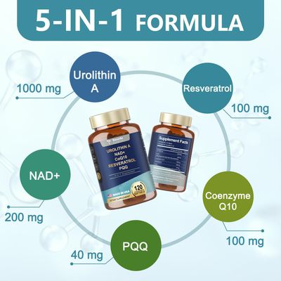 Totaria Urolithin A Supplement 1000mg with NAD,CoQ10,Resveratrol,PQQ Supplement for Men Women 120 Softgels for Muscle Energy Antioxidants High Bioavailability