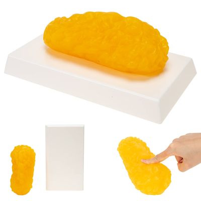 SKUMOD Human Body Fat Model, 1 lb Fat Anatomical Model Replica for Staying Healthy, Weight Loss Motivation Reminder, Anatomy Lesson Display