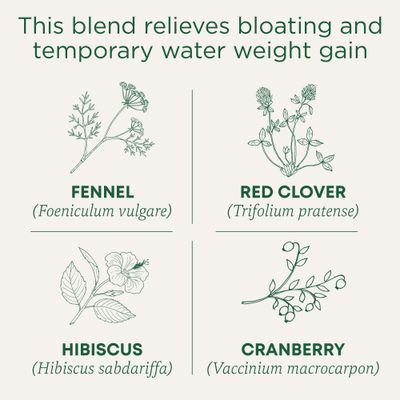Traditional Medicinals Tea, Organic Weightless, Relieves Temporary Water Weight Gain, Cranberry, 96 Tea Bags 6 Pack