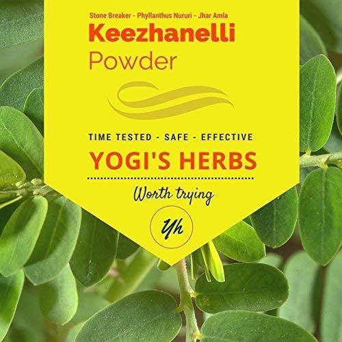 YOGIS HERBS Keezhanelli Powder Phyllanthus Niruri Chanca Piedra Stone Breaker - Liver, Kidney Gallbladder Support- Fresh Pure Herbal Supplement 3.5 oz