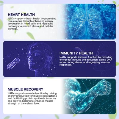SHAPEINGIRL NAD Supplement - NAD Nicotinamide Riboside Resveratrol 900mg, Liposomal NAD Plus for Men and Women, NR Supplement Support for Energy Anti-Aging Focus