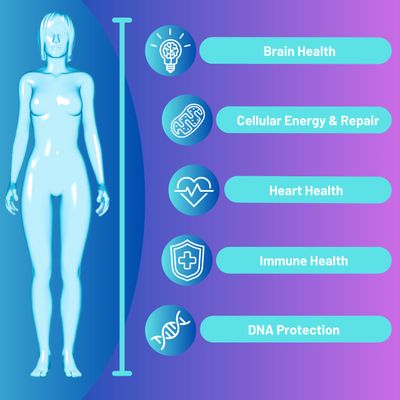 Advanced Bionetix NAD Supplement with Nicotinamide Riboside Plus Resveratro, Quercetin, Betaine wRiboYOUNG for True Anti Aging