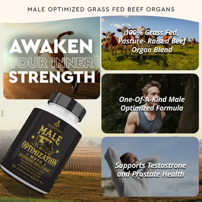 Ancestral Supplements Mofo, Supplements for Men, Support for Energy Levels and Overall Mens Health and Wellness, Non-GMO Grass Fed Beef Organ Supplement with Liver, No Fillers, 180 Capsules