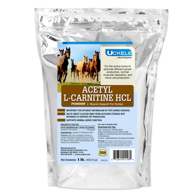Uckele by SmartEquine Acetyl L-Carnitine HCL Powder Horse Energy Supplement Muscle Supplement for Horses Supporting Muscle Function More Antioxidant-Rich Pure Formula 1 lb Bag