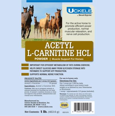 Uckele by SmartEquine Acetyl L-Carnitine HCL Powder Horse Energy Supplement Muscle Supplement for Horses Supporting Muscle Function More Antioxidant-Rich Pure Formula 1 lb Bag