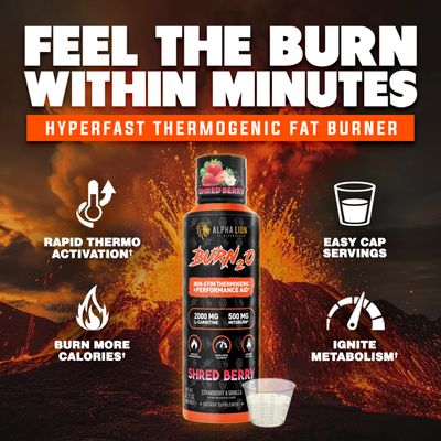 ALPHA LION Burn 20 L-Carnitine Liquid 2000mg, Premium Liquid Fat Burner Pre-Workout Supplement for Men Women - Natural Energy Metabolism Booster for Weight Loss - ShredBerry