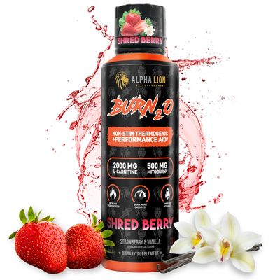 ALPHA LION Burn 20 L-Carnitine Liquid 2000mg, Premium Liquid Fat Burner Pre-Workout Supplement for Men Women - Natural Energy Metabolism Booster for Weight Loss - ShredBerry