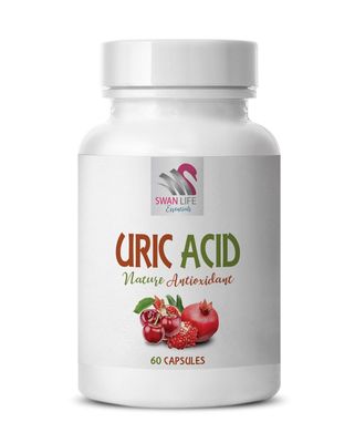 Alerna Kidney Health - URIC Acid Natural ANTIOXIDANT - Uric Acid Cleanse Support Tart Cherry Capsules - 1 Bottle 60 Vegetable Capsules