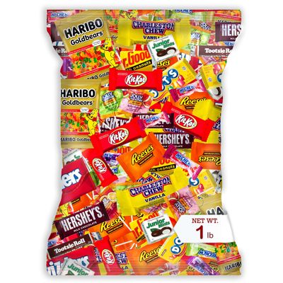 Individually Wrapped Mini Candy Chocolate Mix - 1 lb Bulk Easter Candy Assortment - Easter Basket Stuffers, Pinata Stuffer Candies Variety Pack, Office CandyBowl Treats - Sweet Chocolatey Flavors