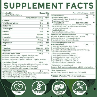 Super Greens Powder Superfood Supplement Electrolytes Tonic Herbs Organic Greens, Adaptogens, Shilajit, Antioxidants, Prebiotic Probiotic Postbiotic for Gut, Energy Immune 30 Servings