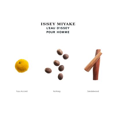 Issey Miyake L'Eau d'Issey Pour Homme After-Shave Lotion for Men - Invigorating Lotion - Softens Skin - With Notes of Yuzu, Nutmeg Sandalwood - 3.3 oz