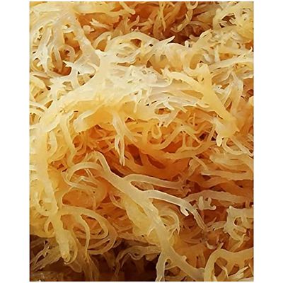 Sea Moss Irish Sea Moss Wildcrafted - 100 Natural, Makes 120 oz of Seamoss Gel Dr. Sebi - 8oz for Health Wellness