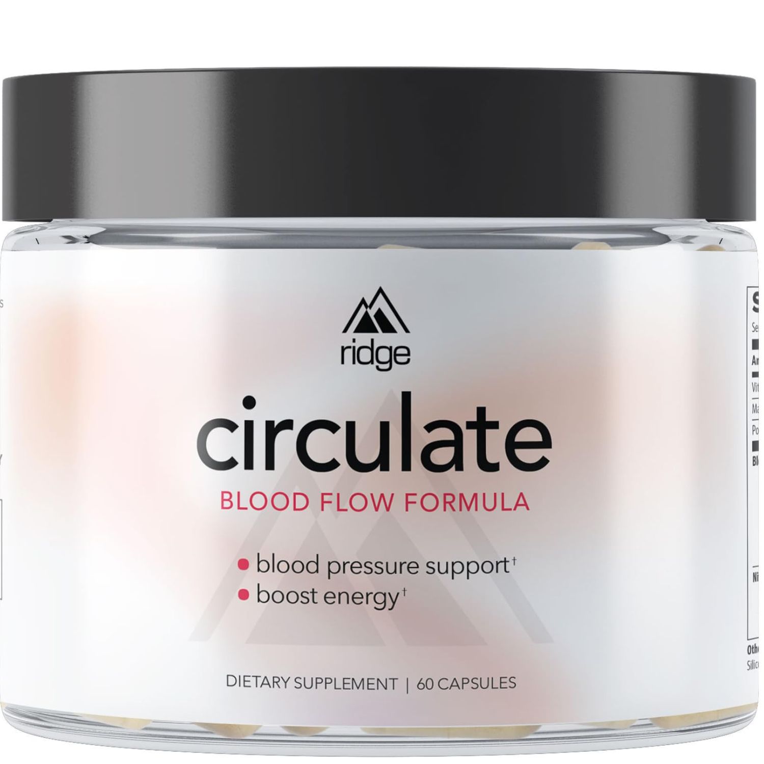 Circulate Circulation Health Support Supplement with Probiotics, Vitamin D3, Magnesium, Potassium, Nitric Oxide - Wellness Formula for Circulatory Overall Health - 60 Capsules