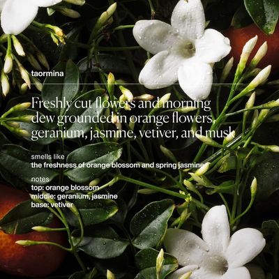 evolvetogether Plant-Powered Natural Luxury Deodorant for Women Men Neutralizes Odors, Soothes Skin Body Heat Activated Fragrance Vegan, Cruelty-Free Made in USA (Taormina)