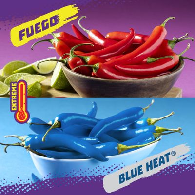 Takis 40 pc 1 oz Variety Pack, Assorted Flavored Mixed Rolled Tortilla Chips - (20) Fuego 1 oz, (20) Blue Heat 1 oz