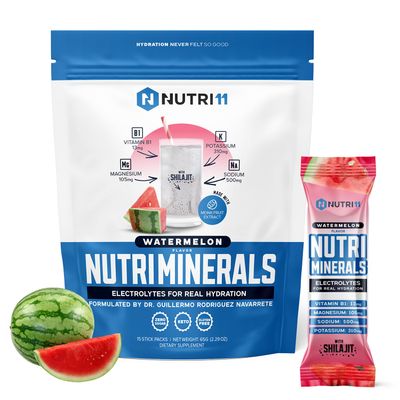 NUTRIMINERALS Hydration Electrolyte Powder Advanced Vitamin B1, Shilajit Pink Himalayan Salt Zero Sugar 15 Stick Packs Clean Energy, Recovery Detox Support (15 Sticks Pack, Watermelon)