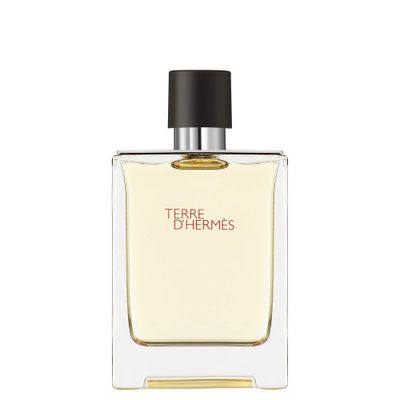 Hermes Terre D&#39;Hermes Eau De Toilette Spray 100ml3.4oz