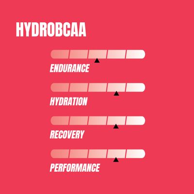 PROSUPPS HydroBCAA BCAAEAA Full Spectrum Matrix, 7g BCAAs, 3g EAAS, 0g Sugar, 0g Carbs (Watermelon, 30 servings)