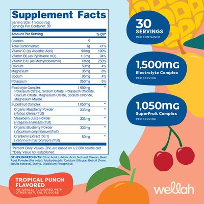 Wellah Splish Splash Hydration Electrolyte Drink Mix (Tropical Punch Flavored, 30 Servings)