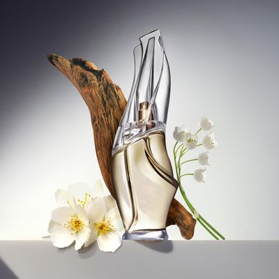 Donna Karan Cashmere Mist Eau de Toilette Perfume Spray For Women, 1.0 Fl. Oz.
