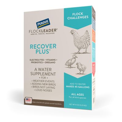 FlockLeader Recover Plus Moderate Stress Probiotic Water Supplement for Chickens with Electrolytes Oregano, 8 oz