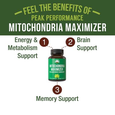 Mitochondria Maximizer with CoQ10 and Active PQQ. Best Mitochondrial Support Supplement with MCT Oil. Natural Cellular Generator for Clean, Focused Energy 60 Vegetarian Capsules