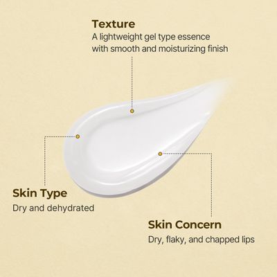 Torriden SOLID In Ceramide Lip Essence 0.37 fl.oz 2 (Pack of 2) Moisturizing Lip Essence for Glowy, Plumped, and Radiant Lip Korean Lip Balm