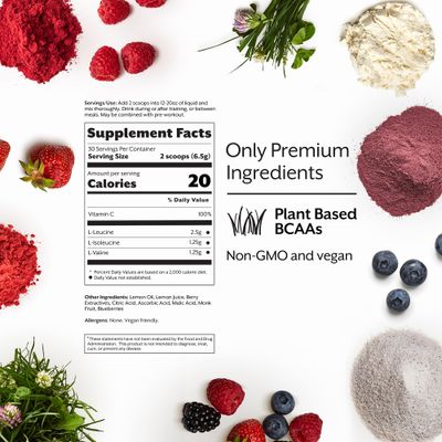 Promix BCAA Post-Workout Energy Powder, Mixed Berry - Plant-Based Branched Chain Amino Acids Supports Lean Muscle Growth, Recovery, Endurance Reduces Soreness - Zero Fat, Sugar Carbs