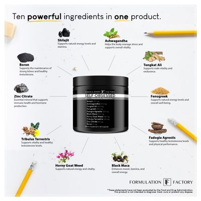 Self Obsessed 10 in 1 Masculinity Maximizer Supplement, Shilajit for Men, Tongkat Ali, Ashwaganda, Fenugreek Muscle Growth, Energy Management, Drive, Strength, Recovery 1-month supply (Pack of 1)