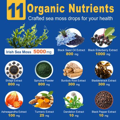ZIPINKJ Sea Moss Liquid Drops - 11 in 1 Black Seed Oil Irish Sea Moss Gel Including Burdock Root, Spirulina, Bladderwrack, Elderberry for Joint Thyroid, Digestion, Immunity Support - 2 Fl Oz