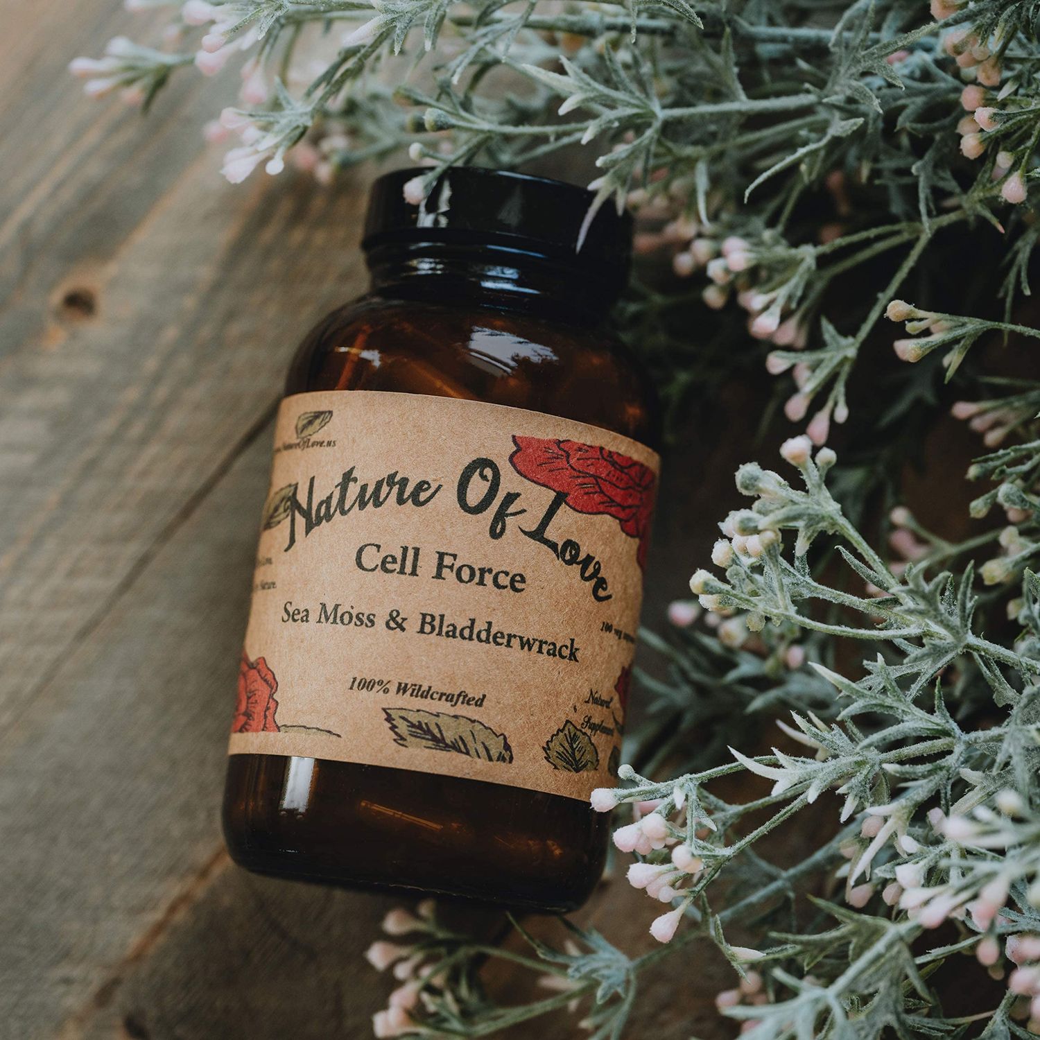 Nature Of Love Organic Irish Sea Moss Capsules with Bladderwrack - 100 Natural, Vegan, Organic, Non-GMO - Dr Sebi Inspired