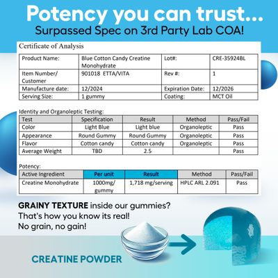 Sugar-Free Creatine Monohydrate Gummies (5g Per Packet) - Potent Creatine Gummies for Men Women, Supplement for Muscle Support, Cellular Energy, Cognitive Function - Non-GMO, Gluten-Free, Vegan