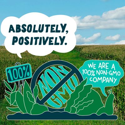 Sir Kensington's Mayonnaise Avocado Oil Mayo 2 Count Keto Diet &amp; Paleo Diet Certified Gluten Free &amp; Non-GMO Project Verified Condiment 12 oz
