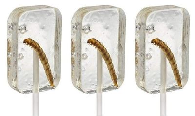 Hotlix Tequila Worm Sucker Pack of 3 Insect Candy