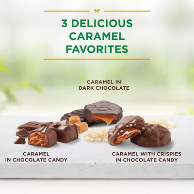 RUSSELL STOVER Sugar Free Assorted Caramels in Chocolate Candy, 15.3 oz. bag - Milk and Dark Sugar Free Chocolate