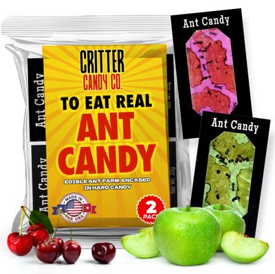 Hotlix Ant Bug Candy (2-Pack), Edible Bugs Insect Candy, Exotic Candy, Edible Insects Candy Individually Wrapped, Unique Candy, Halloween Suckers, Bug Sucker, Weird Candy, Unique Halloween Candy