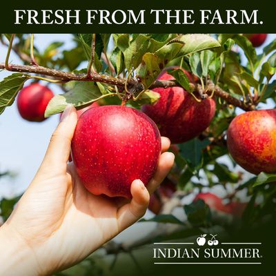 Indian Summer Chunky Cherry Applesauce, 23 Ounce (Pack of 6)