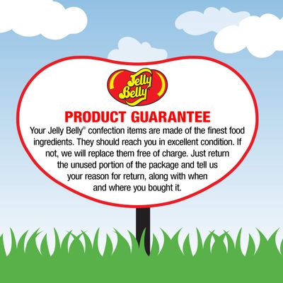 Jelly Belly 10 Assorted Jelly Bean Flavors - Pyramid Bags - 6.5 Pounds of Candy - Genuine, Official, Straight from the Source