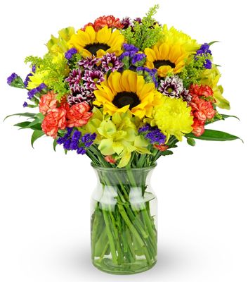 Benchmark Bouquets - Flowering Fields (Glass Vase Included) - Fresh Flowers for Delivery - Gift for Easter, Mothers Day, Birthday, Anniversary, Sympathy, Get Well, Congratulations