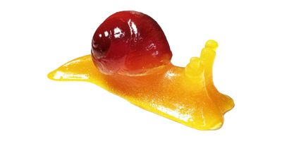 The Gummy Bear Guy (TM) Gummy Snail (TM)